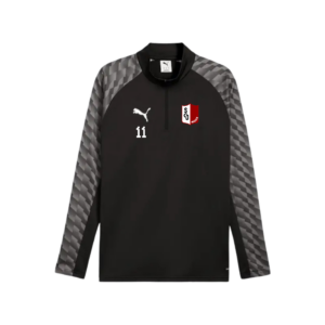 Puma teamLIGA26 Training Zip Top