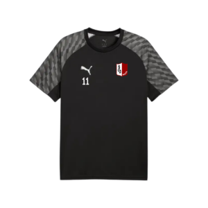 Puma teamLIGA26 Trainingstrikot